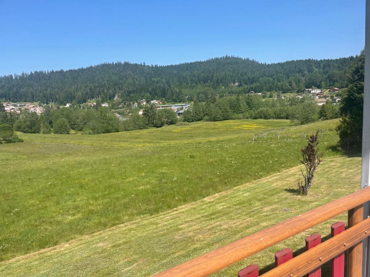 Chalet Le Cedre Bleu 10 P - 10 Min De Gerardmer Le Tholy Eksteriør billede
