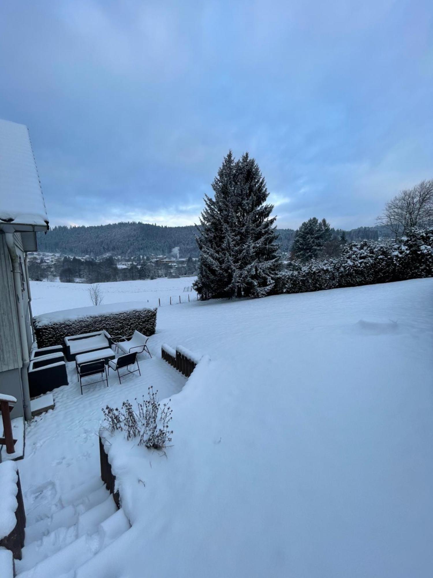 Chalet Le Cedre Bleu 10 P - 10 Min De Gerardmer Le Tholy Eksteriør billede